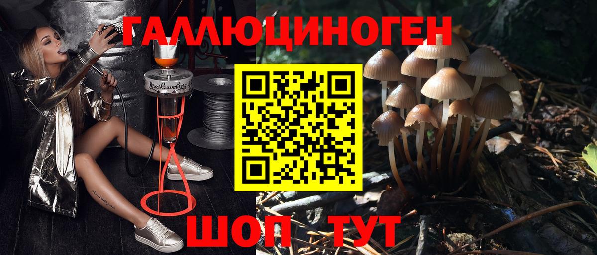 Псилоцибиновые грибы мухоморы Томск