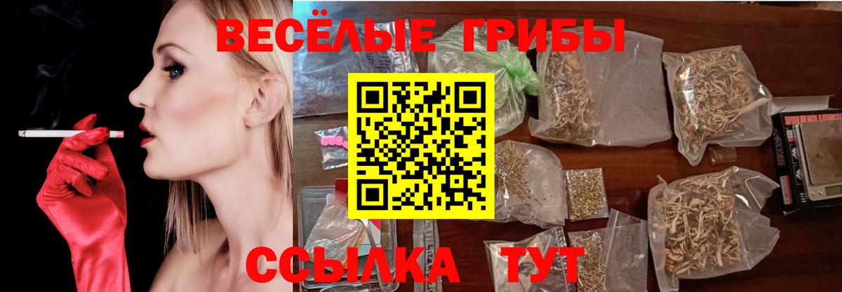Томск  Галлюциногенные грибы мухоморы  Галлюциногенные грибы ЛСД  Вход с VPN 